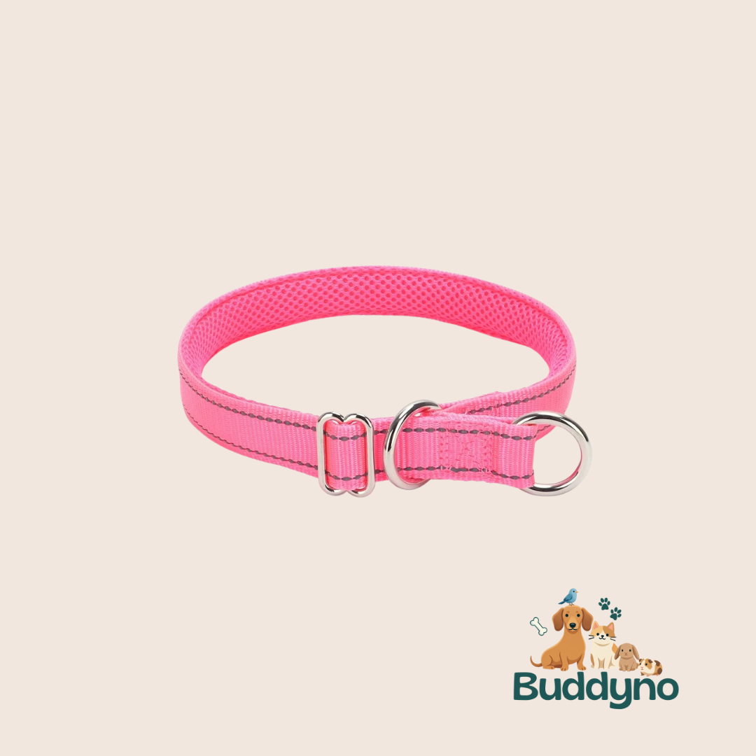 PAWSAFE | Reflecterende nylon halsband