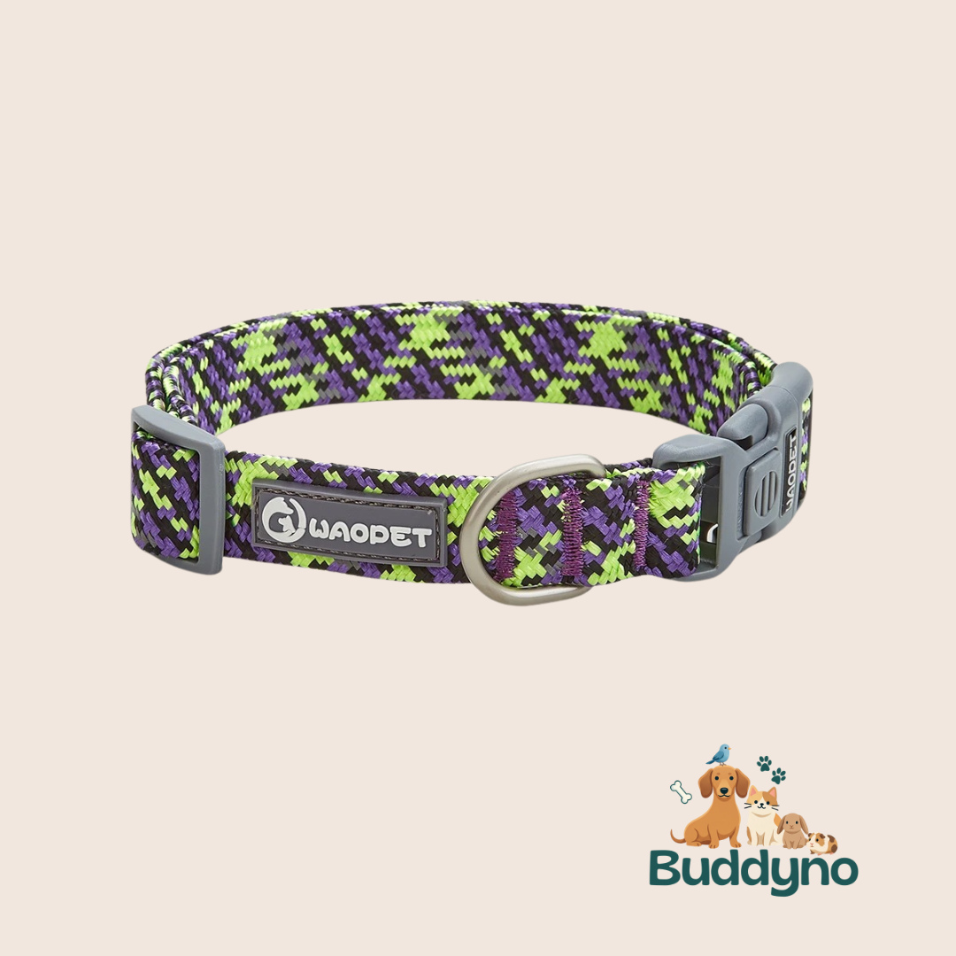 REFLEXPAW | Reflecterende halsband voor veilig uitlaten