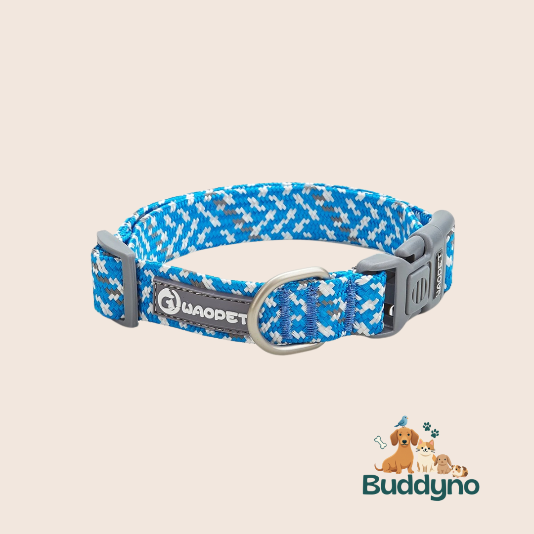 REFLEXPAW | Reflecterende halsband voor veilig uitlaten