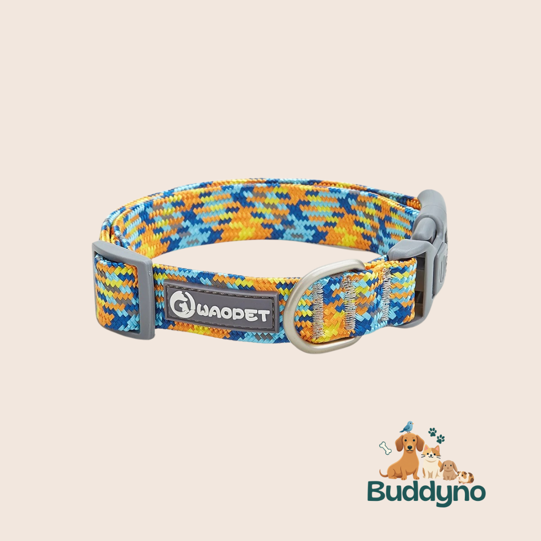 REFLEXPAW | Reflecterende halsband voor veilig uitlaten