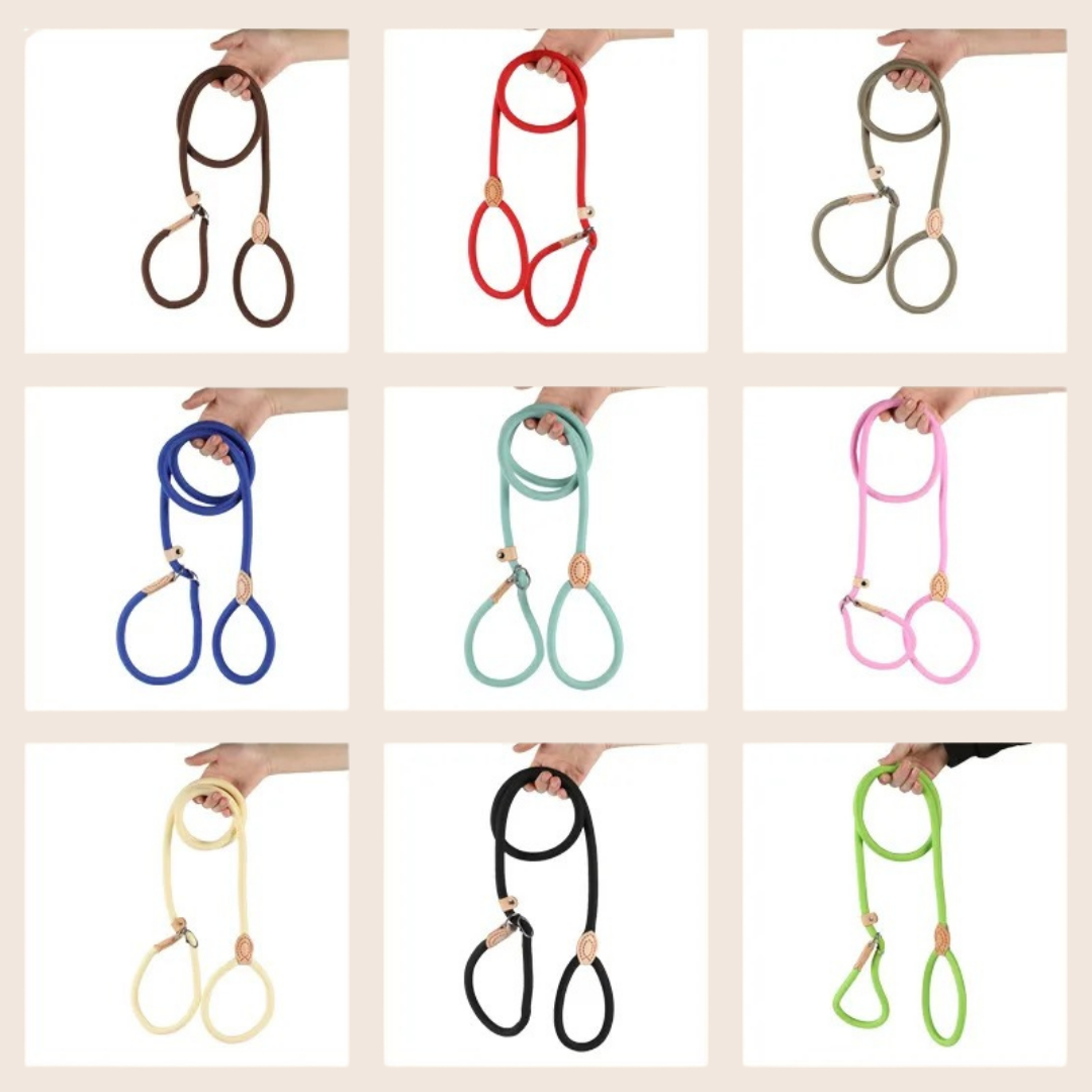 SLIPWALK | Antitrek riem en halsband in één