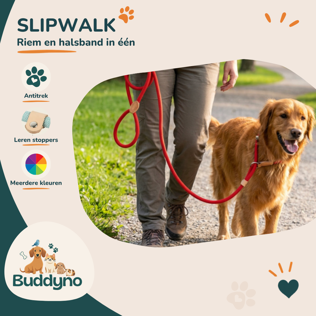 SLIPWALK | Antitrek riem en halsband in één