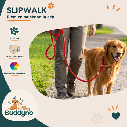 SLIPWALK | Antitrek riem en halsband in één