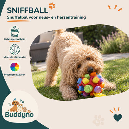 SNIFFBALL | Snuffelbal voor neus- en hersentraining