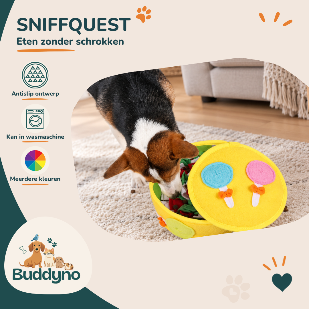 SNIFFQUEST | Snuffelmat tegen schrokken