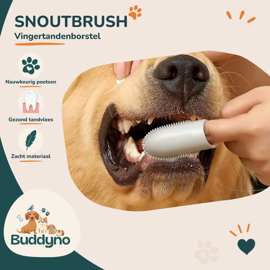 SNOUTBRUSH | Siliconen vingertandenborstel voor honden