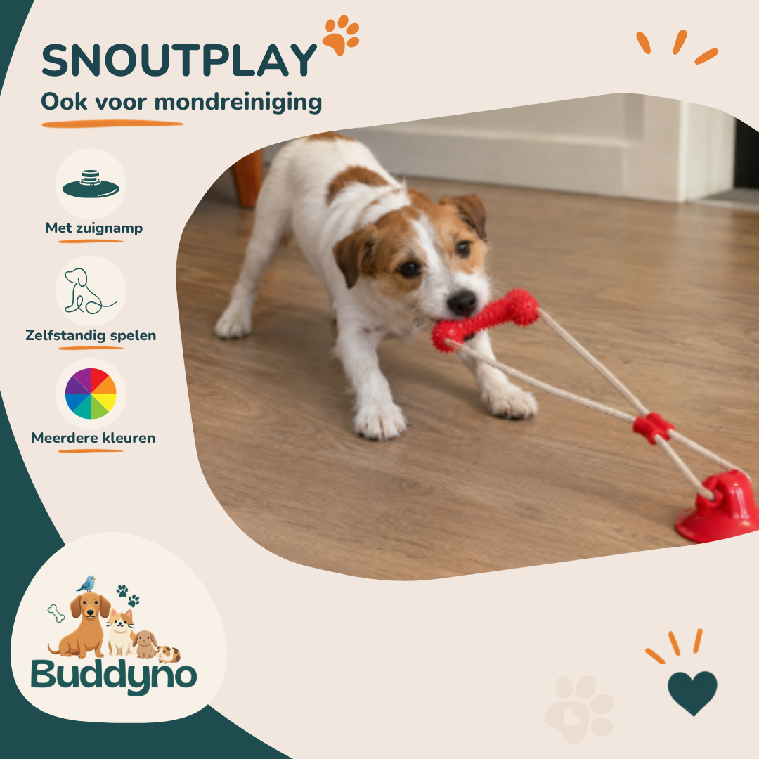 SNOUTPLAY | Kauwspeelgoed met zuignap voor honden