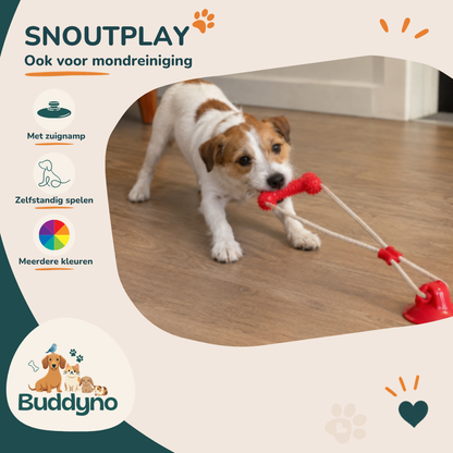 SNOUTPLAY | Kauwspeelgoed met zuignap voor honden