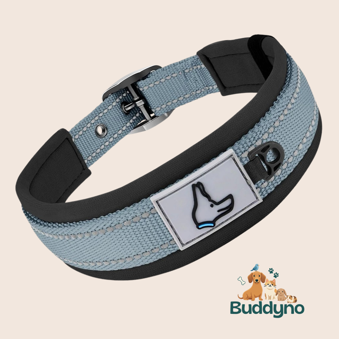 SOFTCOLLAR | Reflecterende halsband voor veilig uitlaten