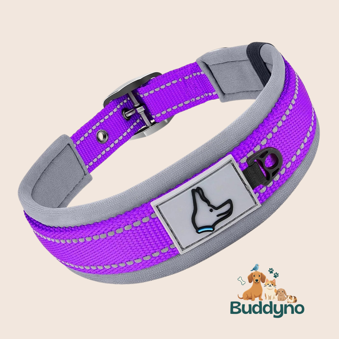 SOFTCOLLAR | Reflecterende halsband voor veilig uitlaten