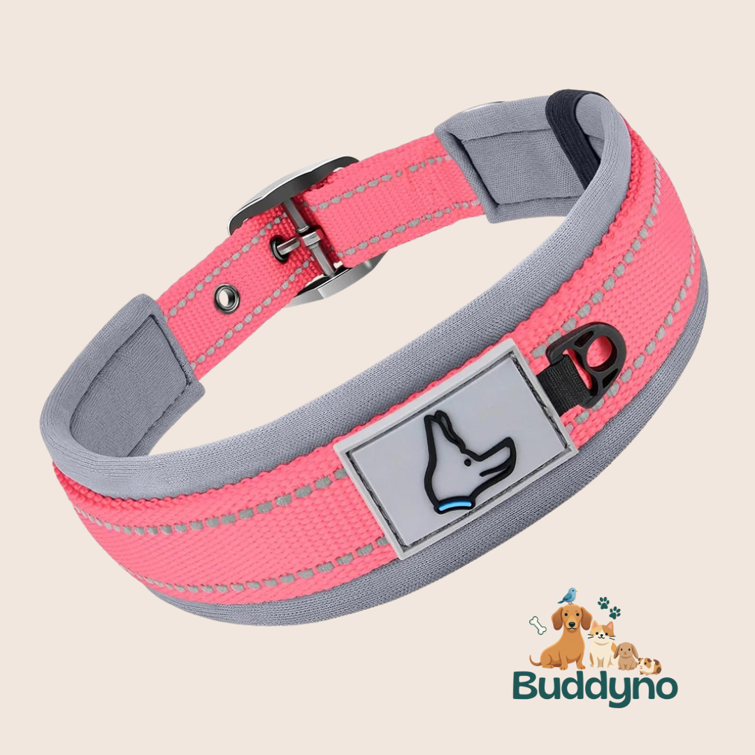 SOFTCOLLAR | Reflecterende halsband voor veilig uitlaten