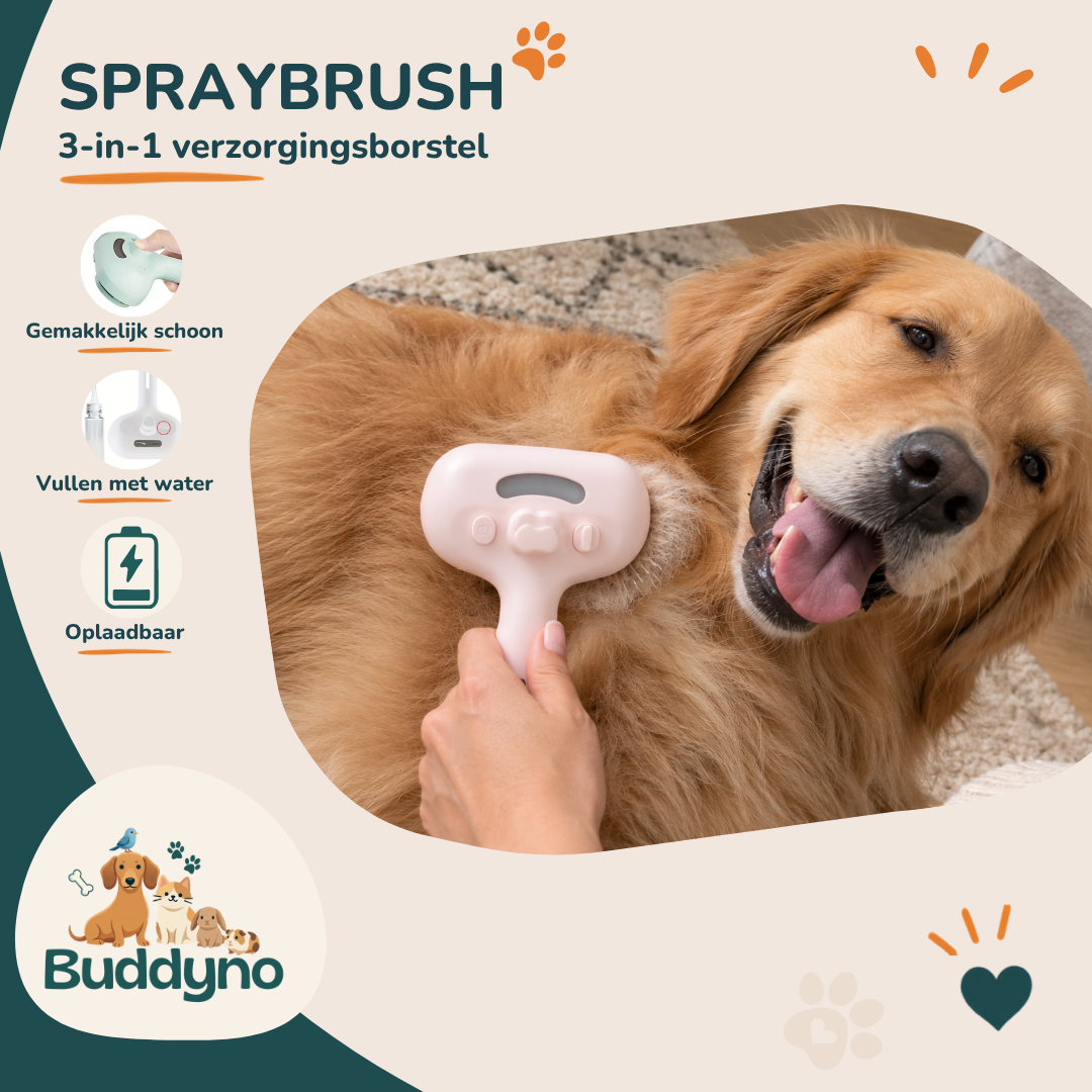 SPRAYBRUSH | Ontklik en massageborstel voor honden