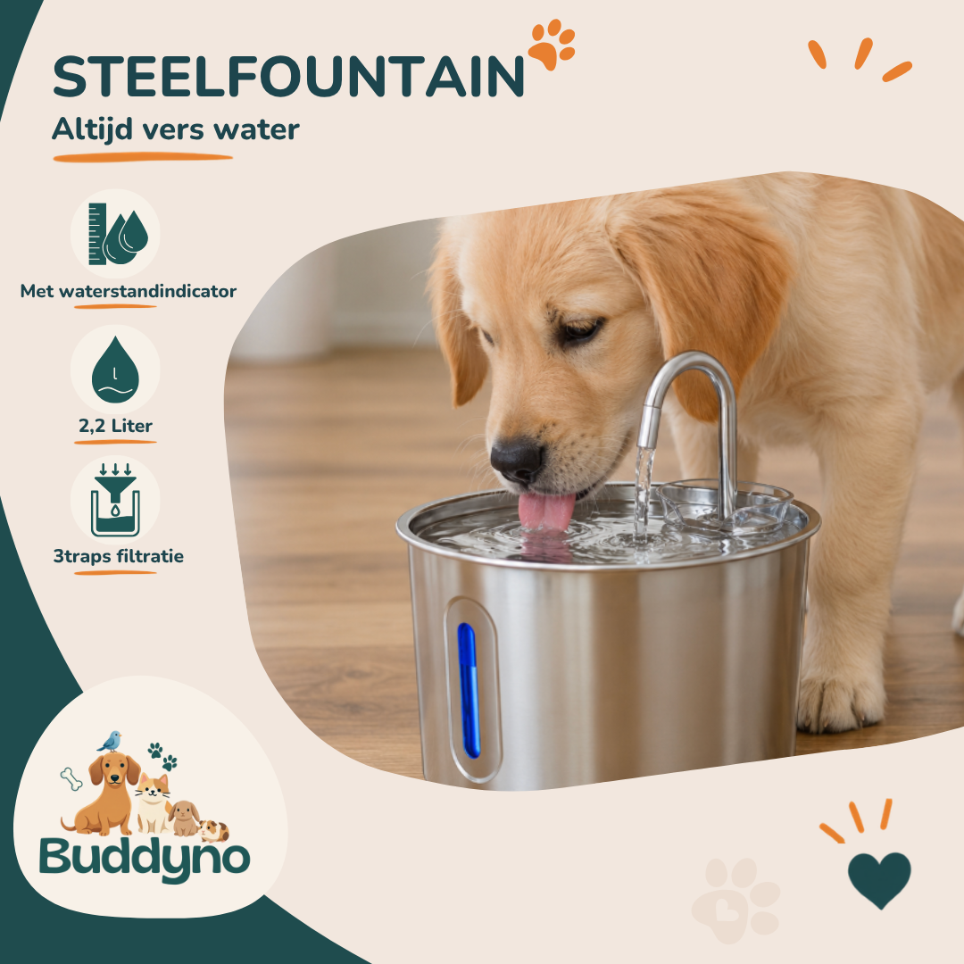 STEELFOUNTAIN | Altijd vers water