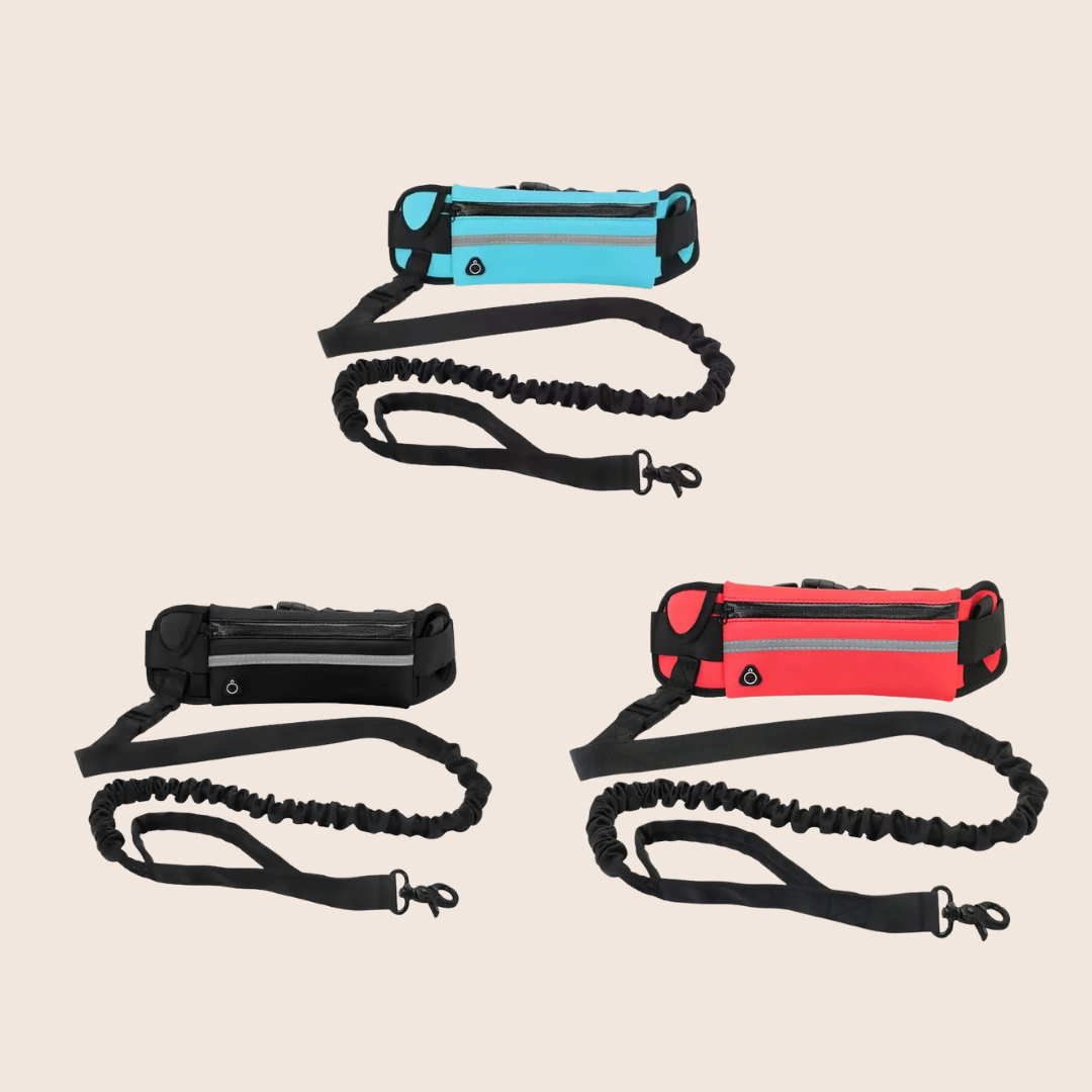 TRAILBELT | Handsfree hondenlijn