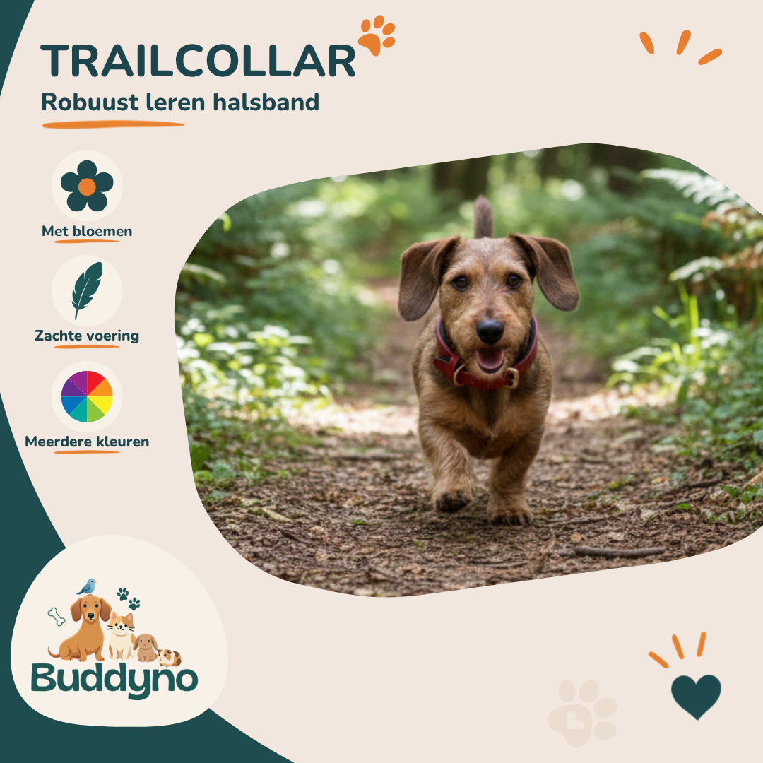 TRAILCOLLAR | Robuuste leren halsband met bloemenmotief