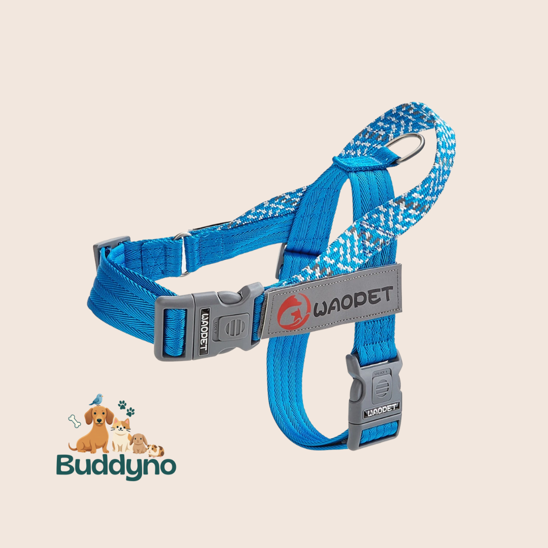 TRAILFIT | Reflecterende tuig voor veilige wandelingen