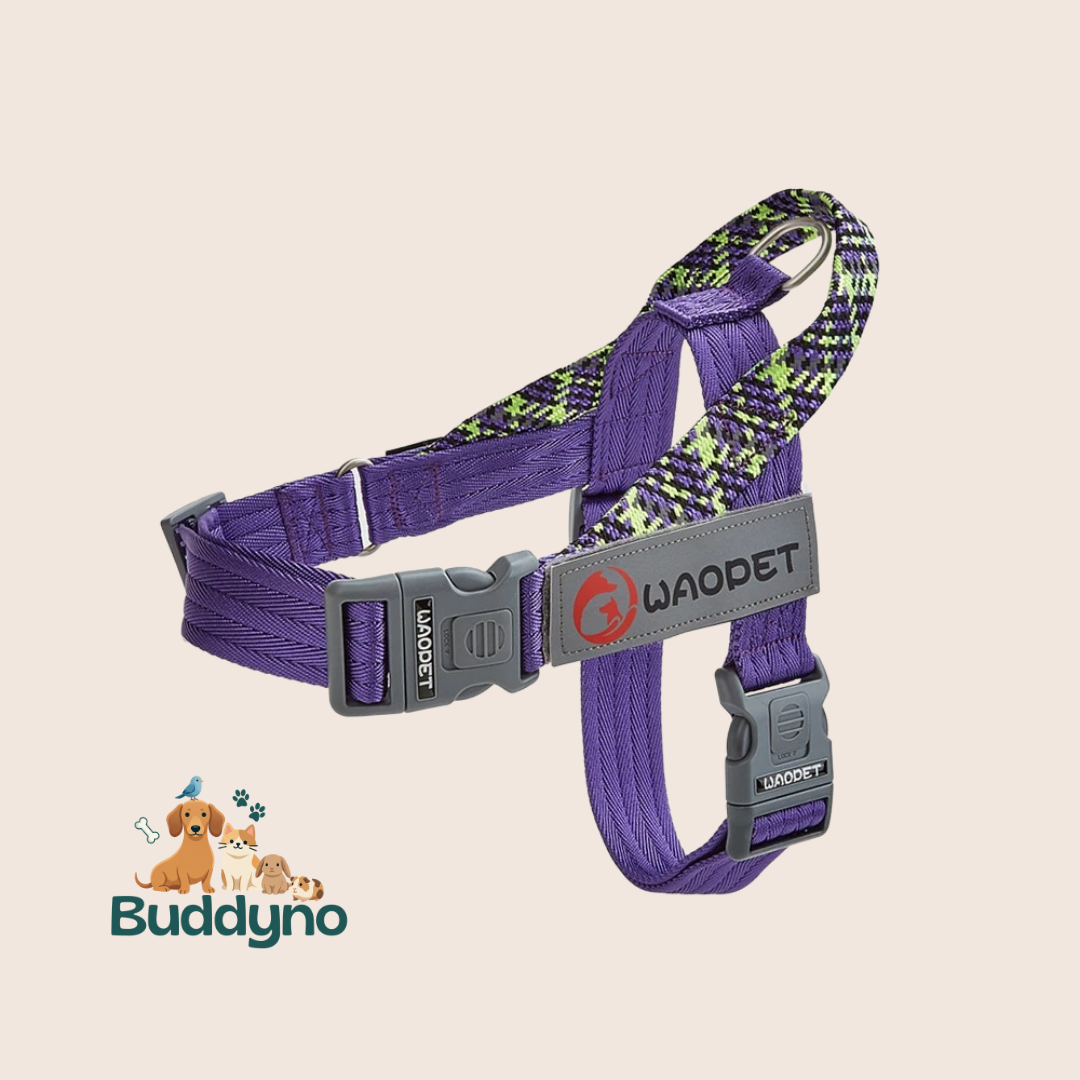 TRAILFIT | Reflecterende tuig voor veilige wandelingen