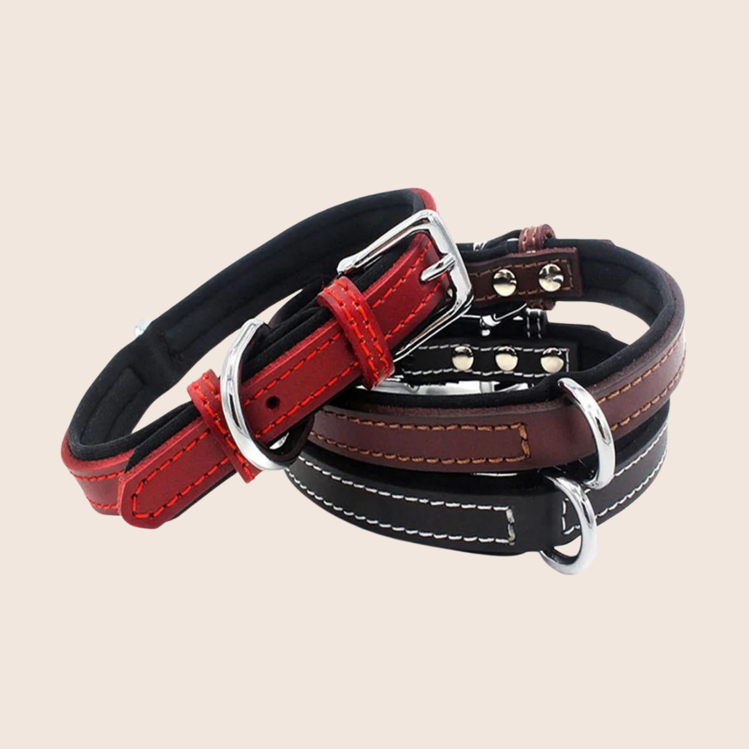 WOOFBAND | Leren halsband met zachte binnenvoering