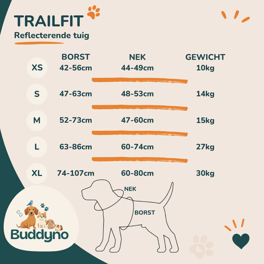 TRAILFIT | Reflecterende tuig voor veilige wandelingen