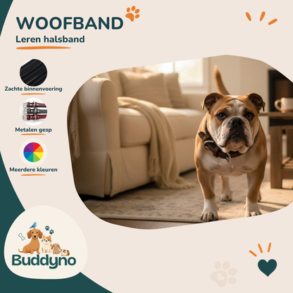 WOOFBAND | Leren halsband met zachte binnenvoering