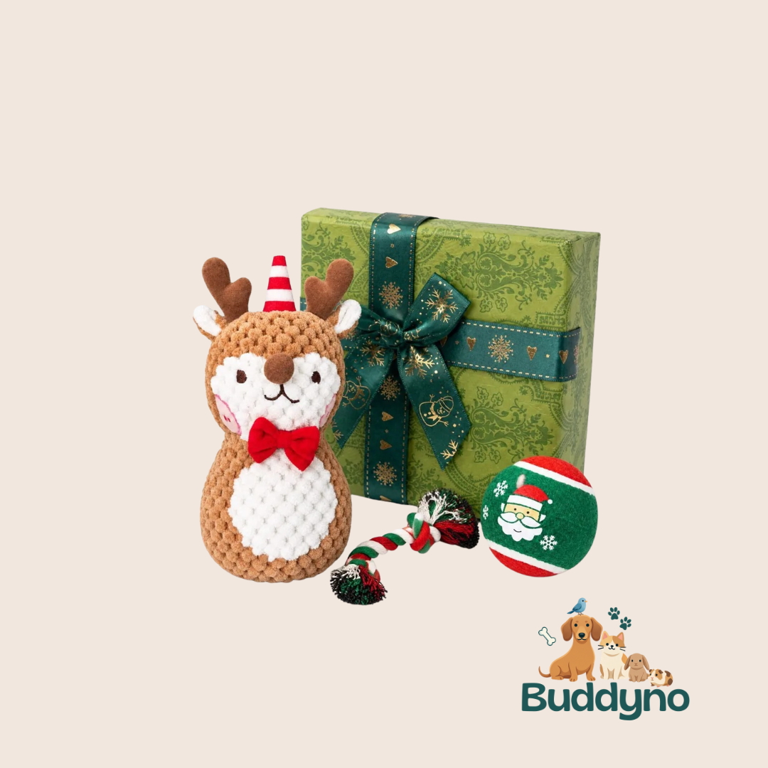 WOOFXMAS | Kerstspeelset voor speelse honden