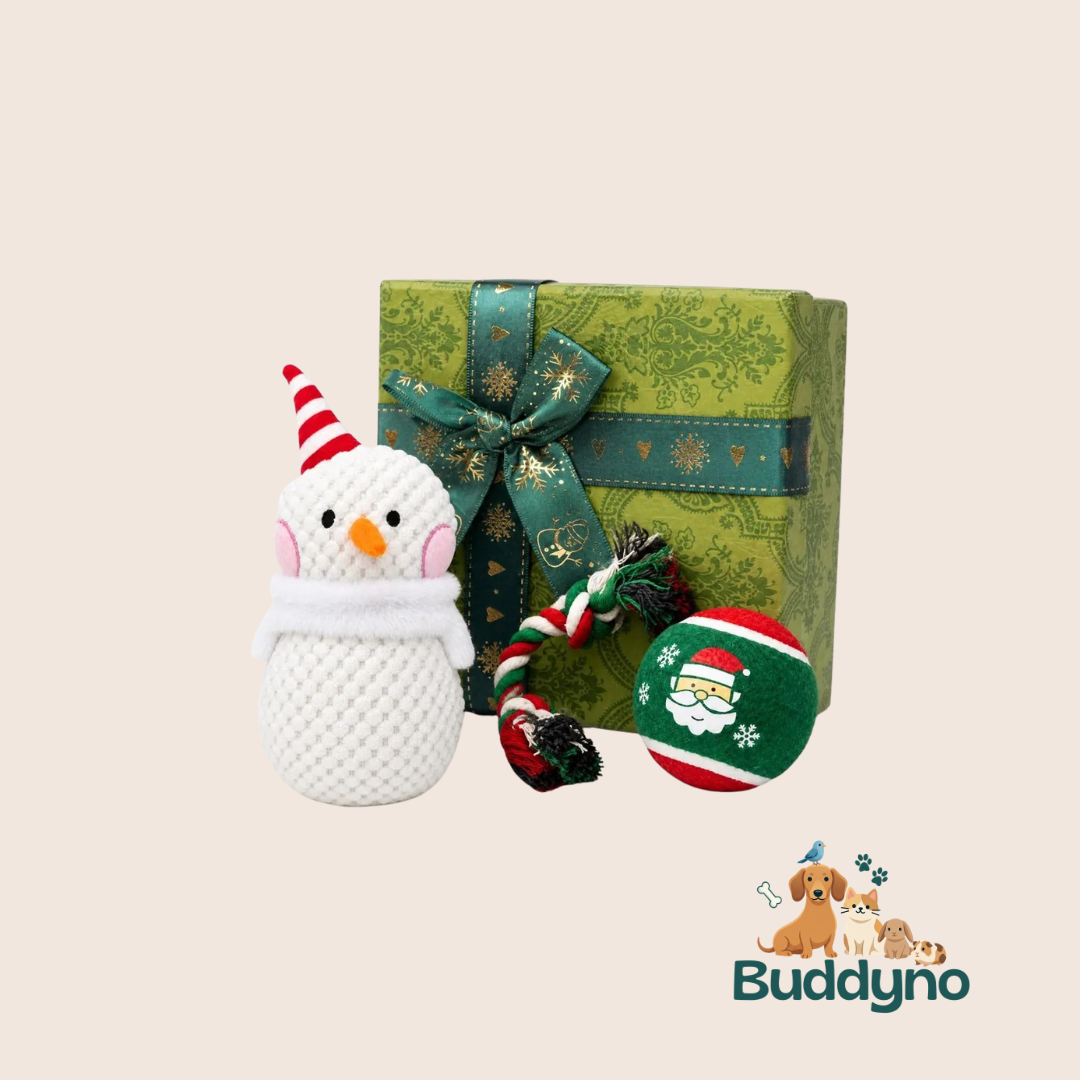 WOOFXMAS | Kerstspeelset voor speelse honden