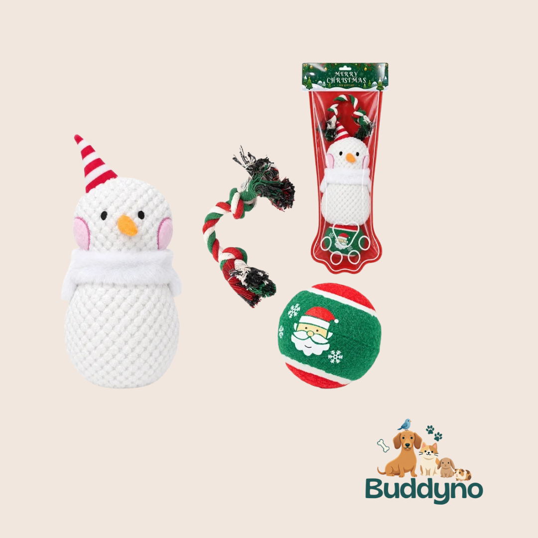 WOOFXMAS | Kerstspeelset voor speelse honden
